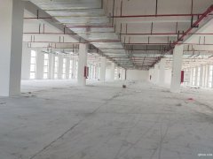 【園區直招】蘇通園區，全新廠房，面積1200平~15000平